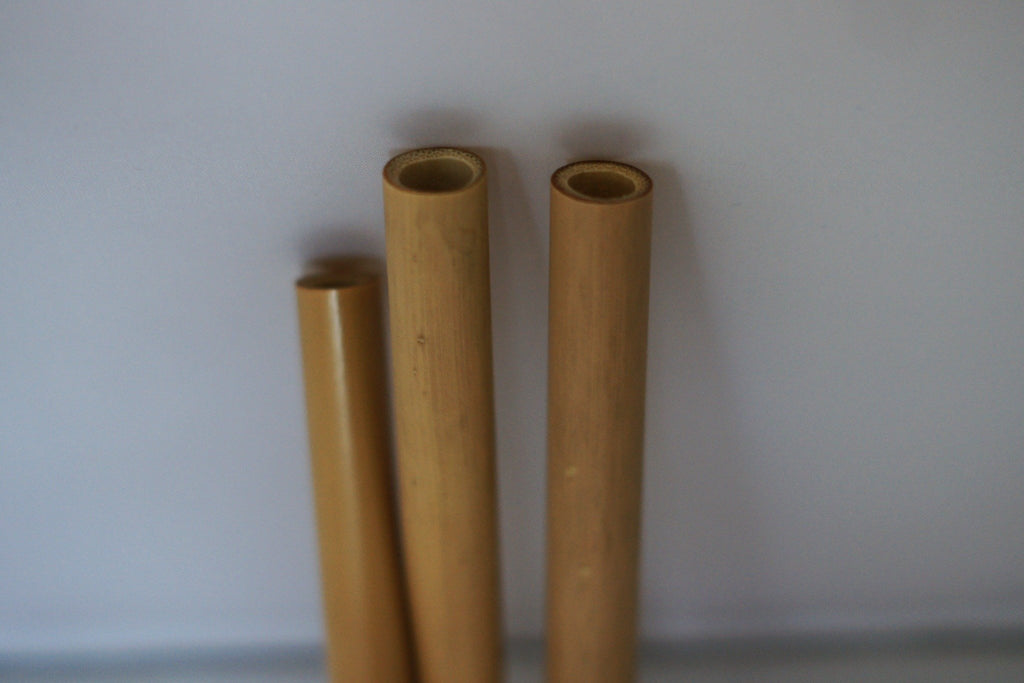 Bamboo Straws - Bamboo Straws - PURNAMA